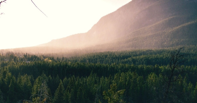 Functional Medicine
