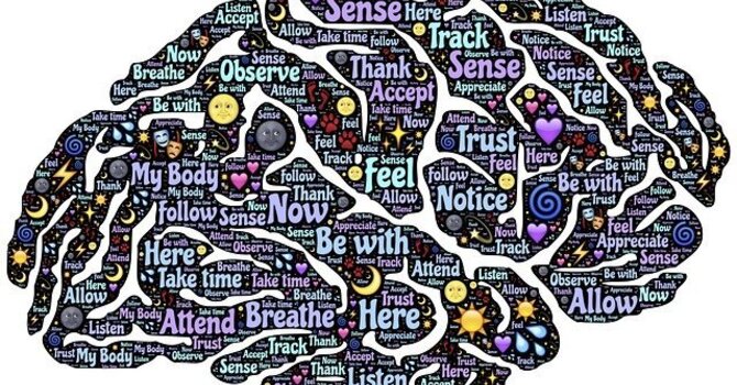 10 Steps to Better Gut and Brain Health image