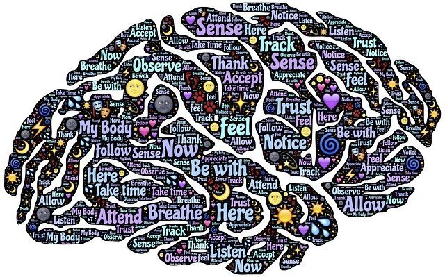 brain health, concierge healthcare, concierge wellness, gut health, health, healthy eating